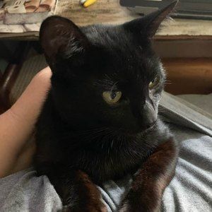 Meet your Posher, Kim